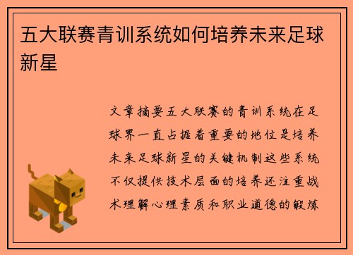 五大联赛青训系统如何培养未来足球新星